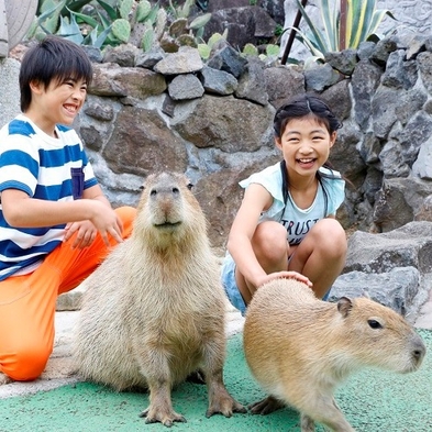 【ファミリープラン】【1日2組限定】小学6年生まで無料　家族で巡る伊豆温泉旅